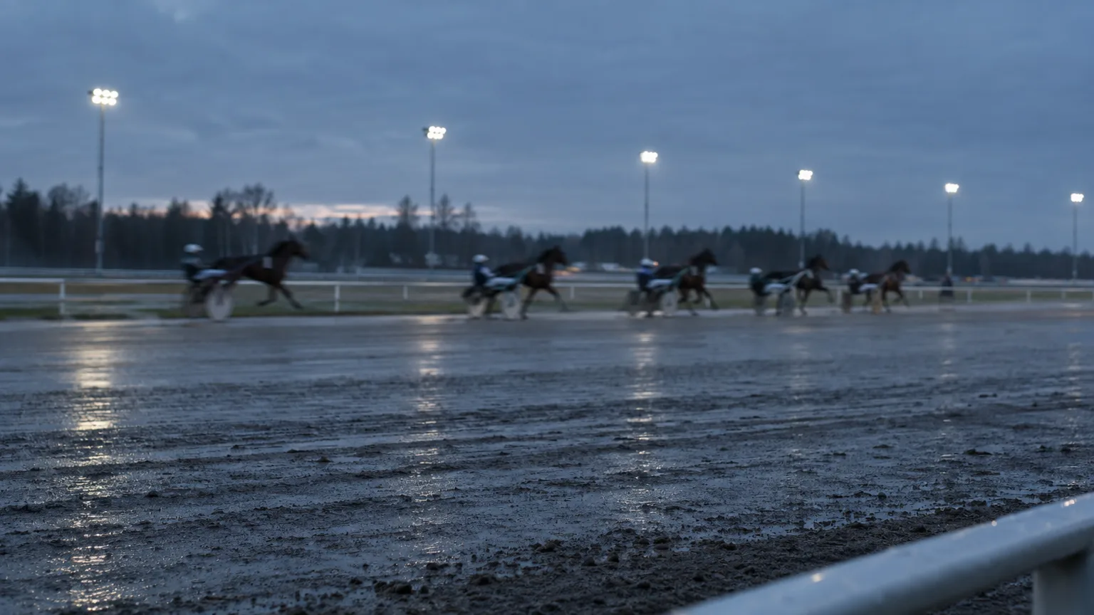 Travbana i skymning med hästar i rörelse långt bort och tända strålkastare längs banans bortre sida